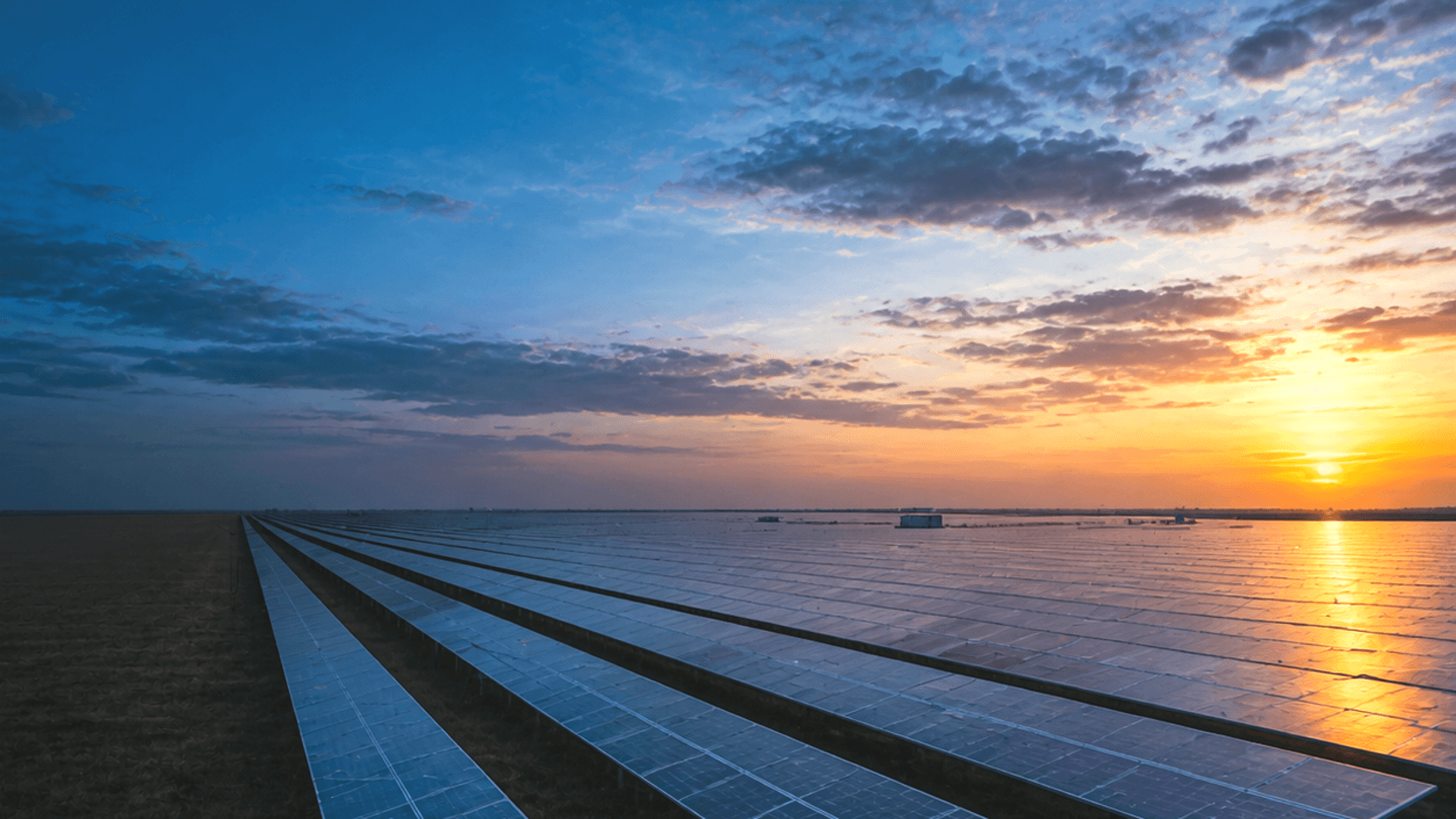 Utility-scale solar field at sunrise